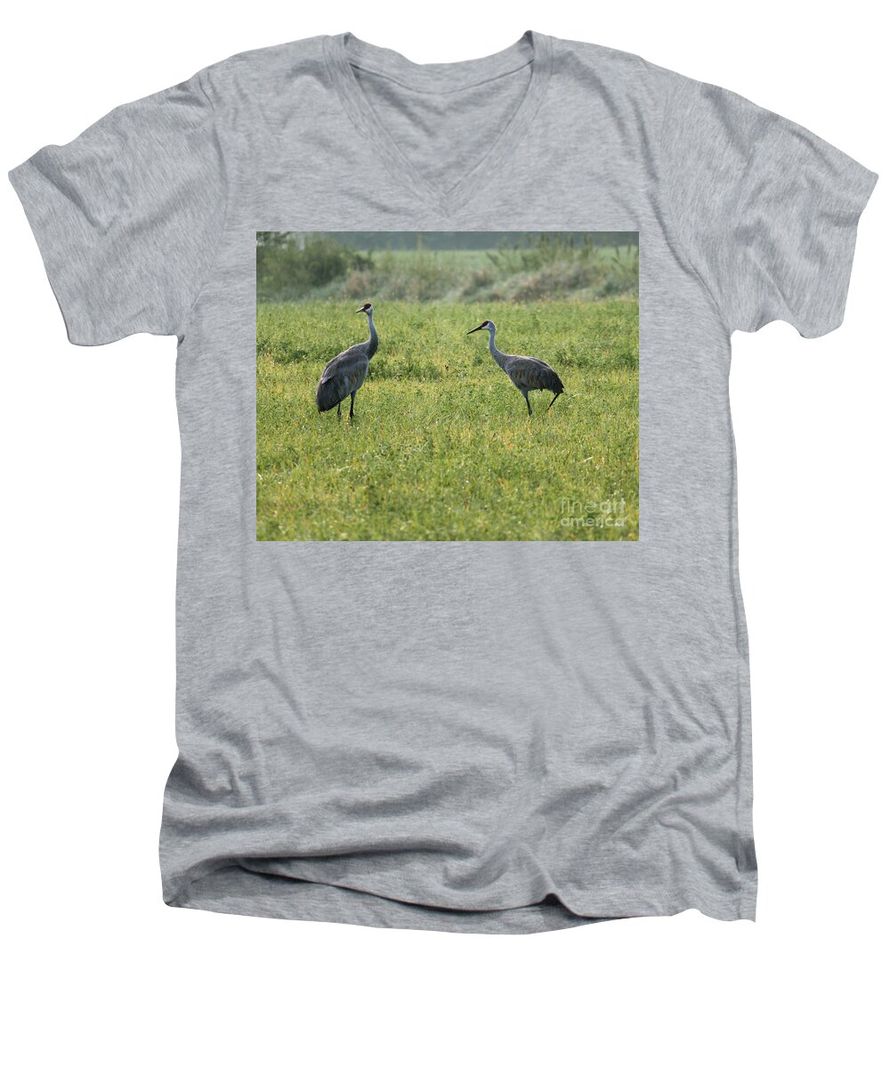 Sandhill Crane Men's V-Neck T-Shirt featuring the photograph Strolling Cranes by Debbie Hart