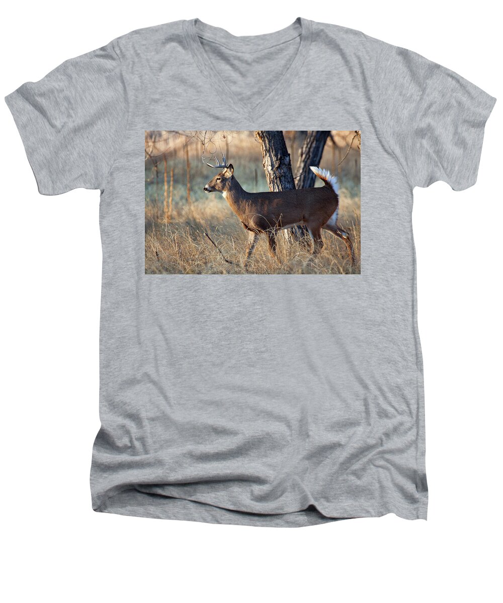 Deer Men's V-Neck T-Shirt featuring the photograph Strutting Buck by Jim Garrison