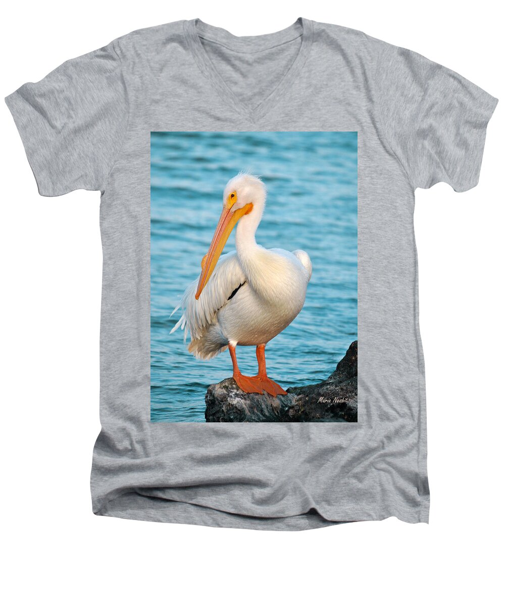 Pelicans Men's V-Neck T-Shirt featuring the photograph Stunning by Maria Nesbit