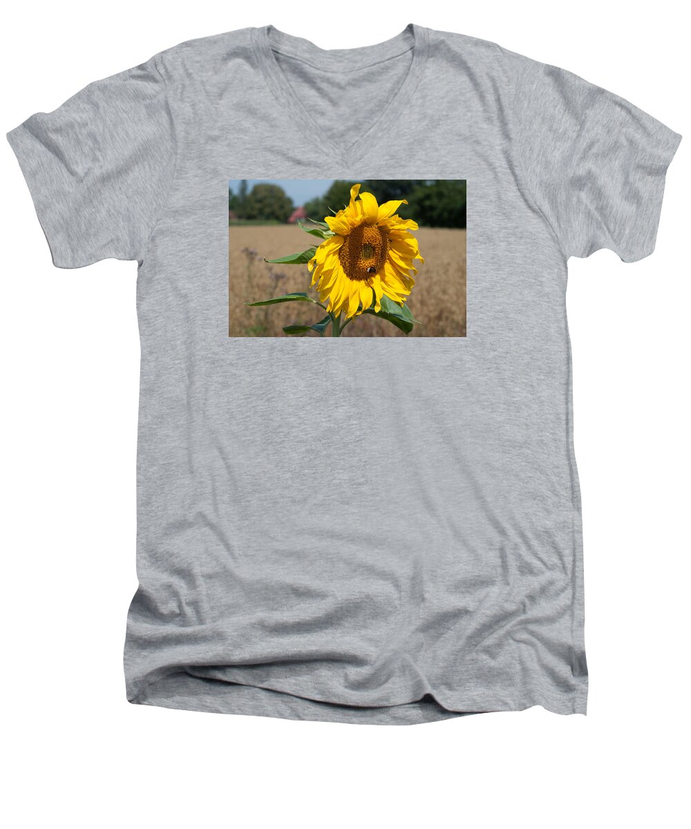 Winterpacht Men's V-Neck T-Shirt featuring the photograph Sun Flower Fields by Miguel Winterpacht