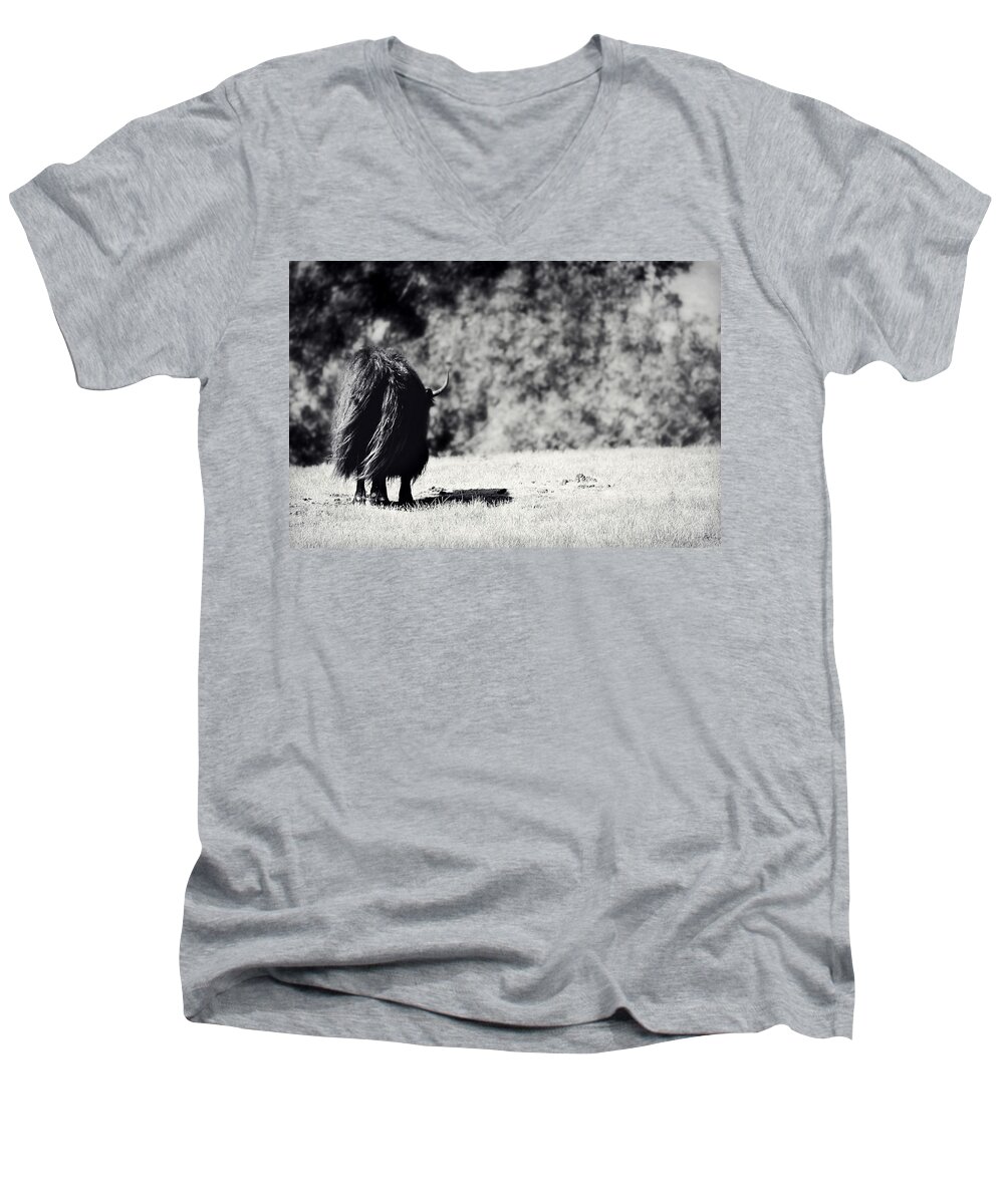 Yak Men's V-Neck T-Shirt featuring the photograph Swaying in the Wind by Melanie Lankford Photography