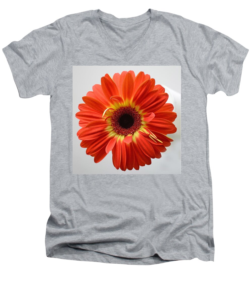 Flower Men's V-Neck T-Shirt featuring the photograph Sweet and Simple by Melanie Moraga