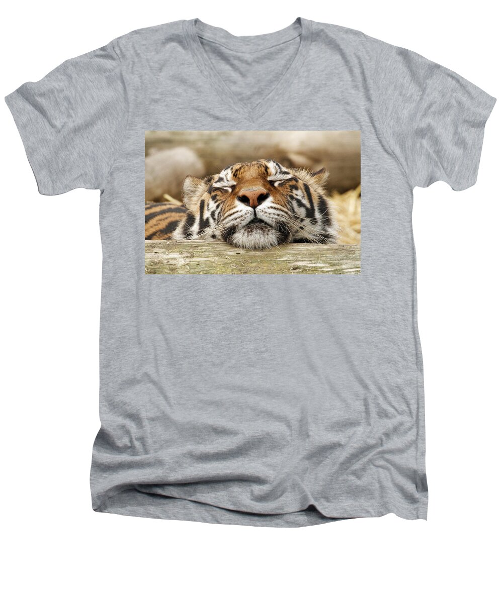 Tiger Men's V-Neck T-Shirt featuring the photograph Sweet Dreams by Steve McKinzie