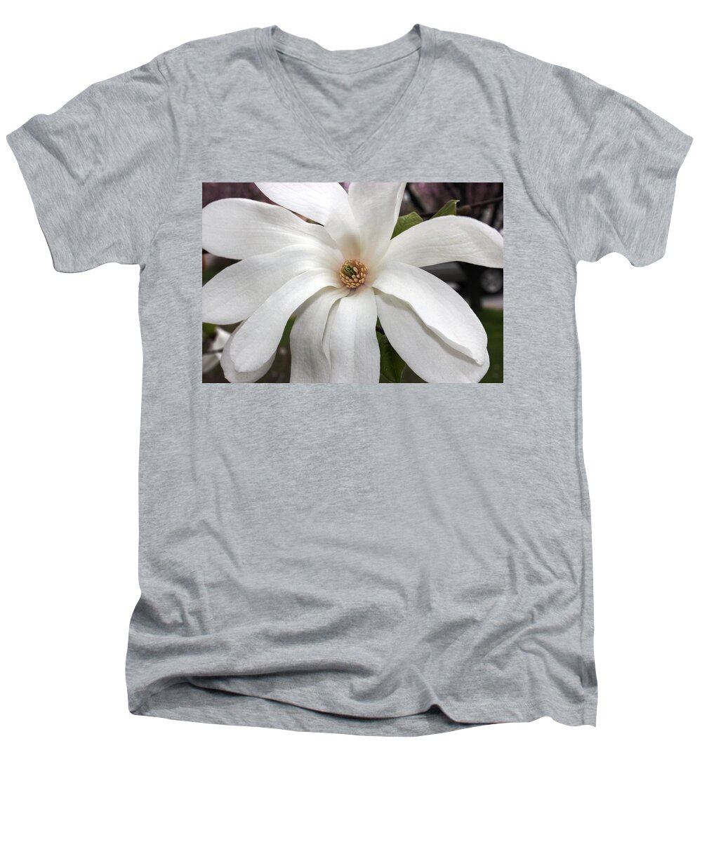 Flowers Men's V-Neck T-Shirt featuring the photograph Sweet Magnolia by Judy Palkimas