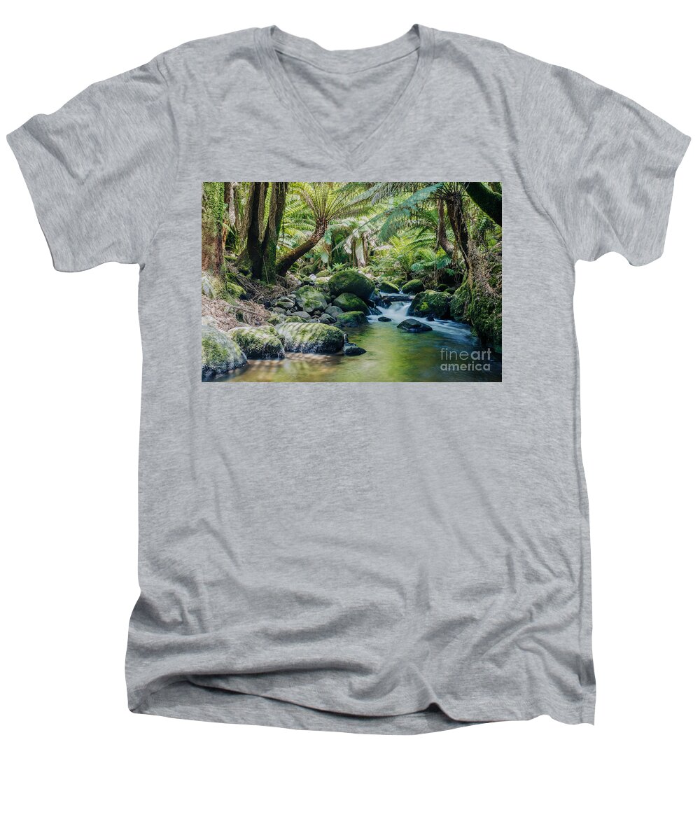 Rainforest Men's V-Neck T-Shirt featuring the photograph Tasmanian rainforest by Matteo Colombo