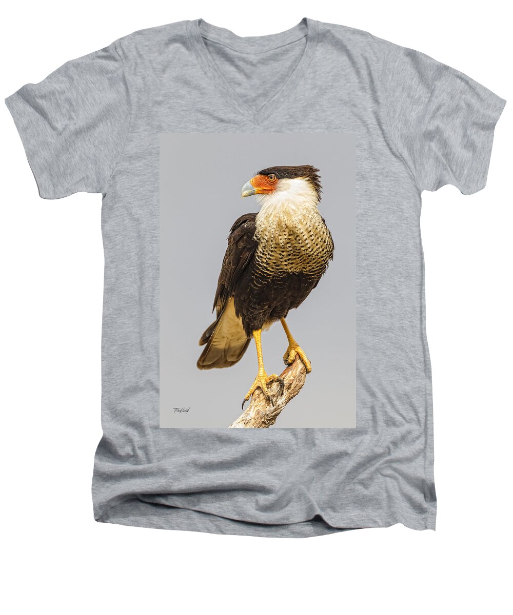Bird Men's V-Neck T-Shirt featuring the photograph Texas Crested Cara Cara by Fred J Lord