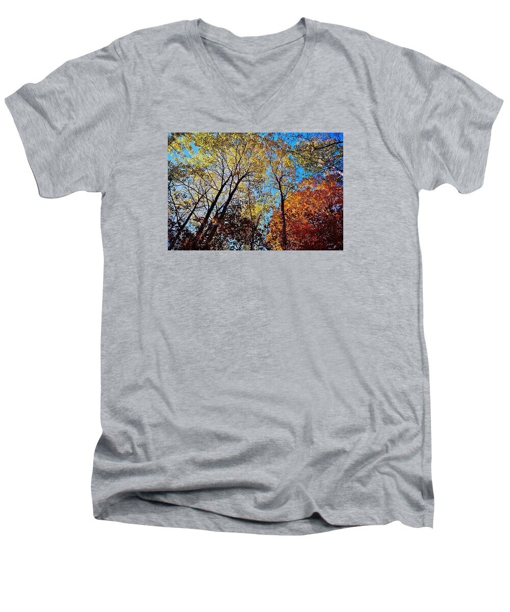 Fall Colours Men's V-Neck T-Shirt featuring the photograph The Canopy by Daniel Thompson