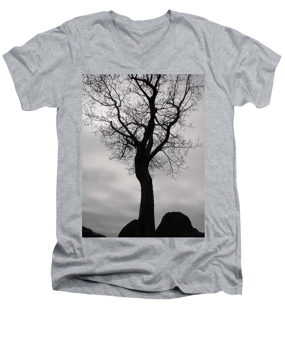 Tree Men's V-Neck T-Shirt featuring the photograph The Chill of Spring in the Shenandoah by Nicole Angell