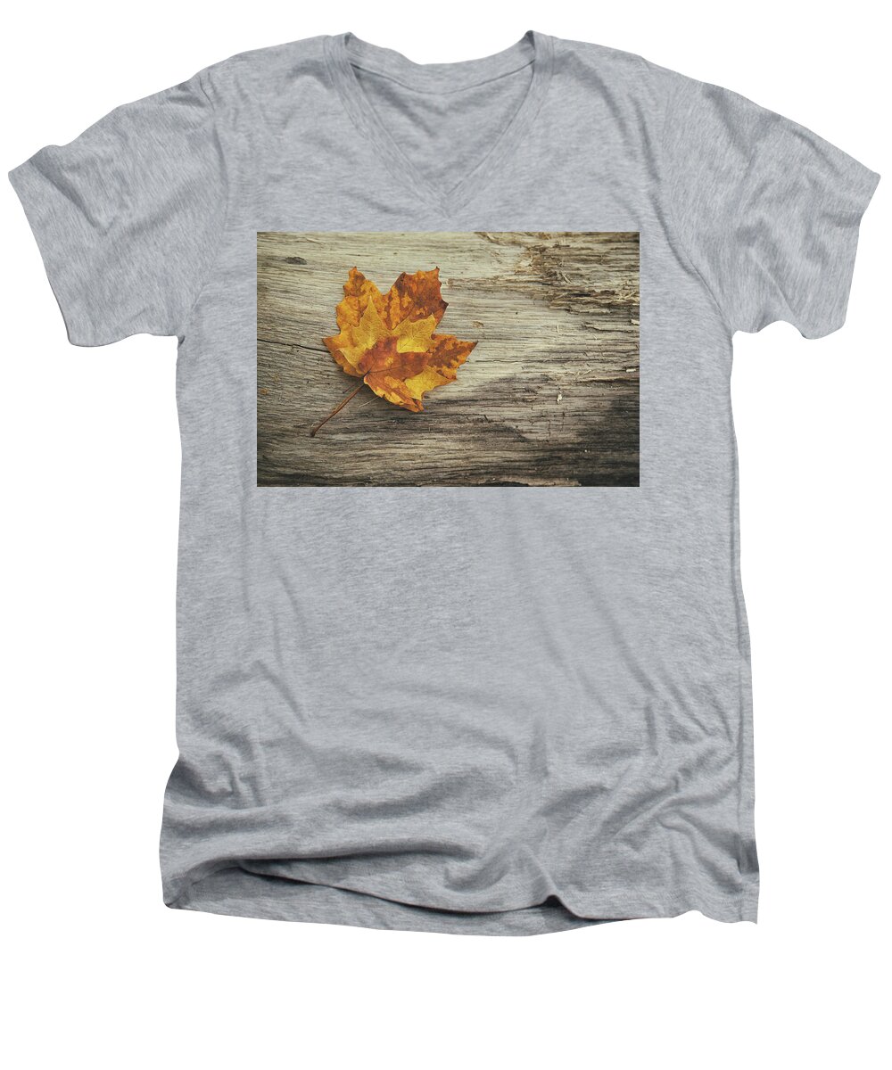Maple Leaf Men's V-Neck T-Shirt featuring the photograph Three Leaves by Scott Norris