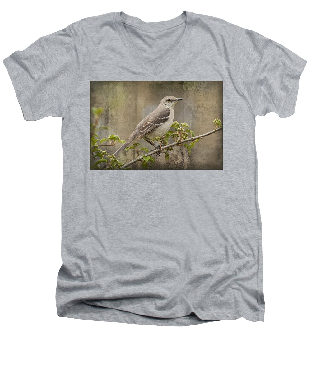 Mimus Polyglottos Men's V-Neck T-Shirt featuring the photograph To Still A Mockingbird by Kathy Clark