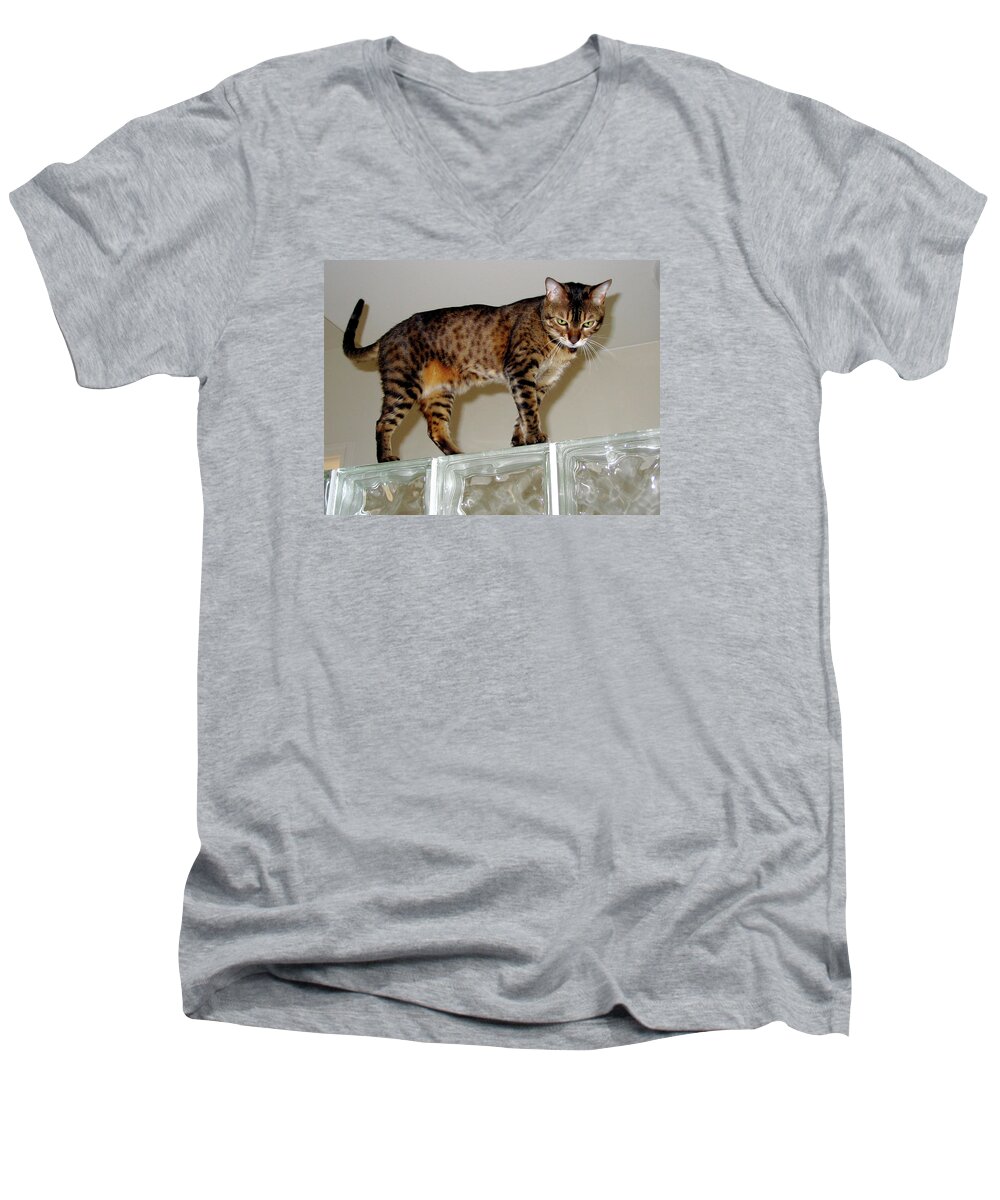 Bengal Cat Men's V-Neck T-Shirt featuring the photograph Tora on Glass II by Phyllis Kaltenbach
