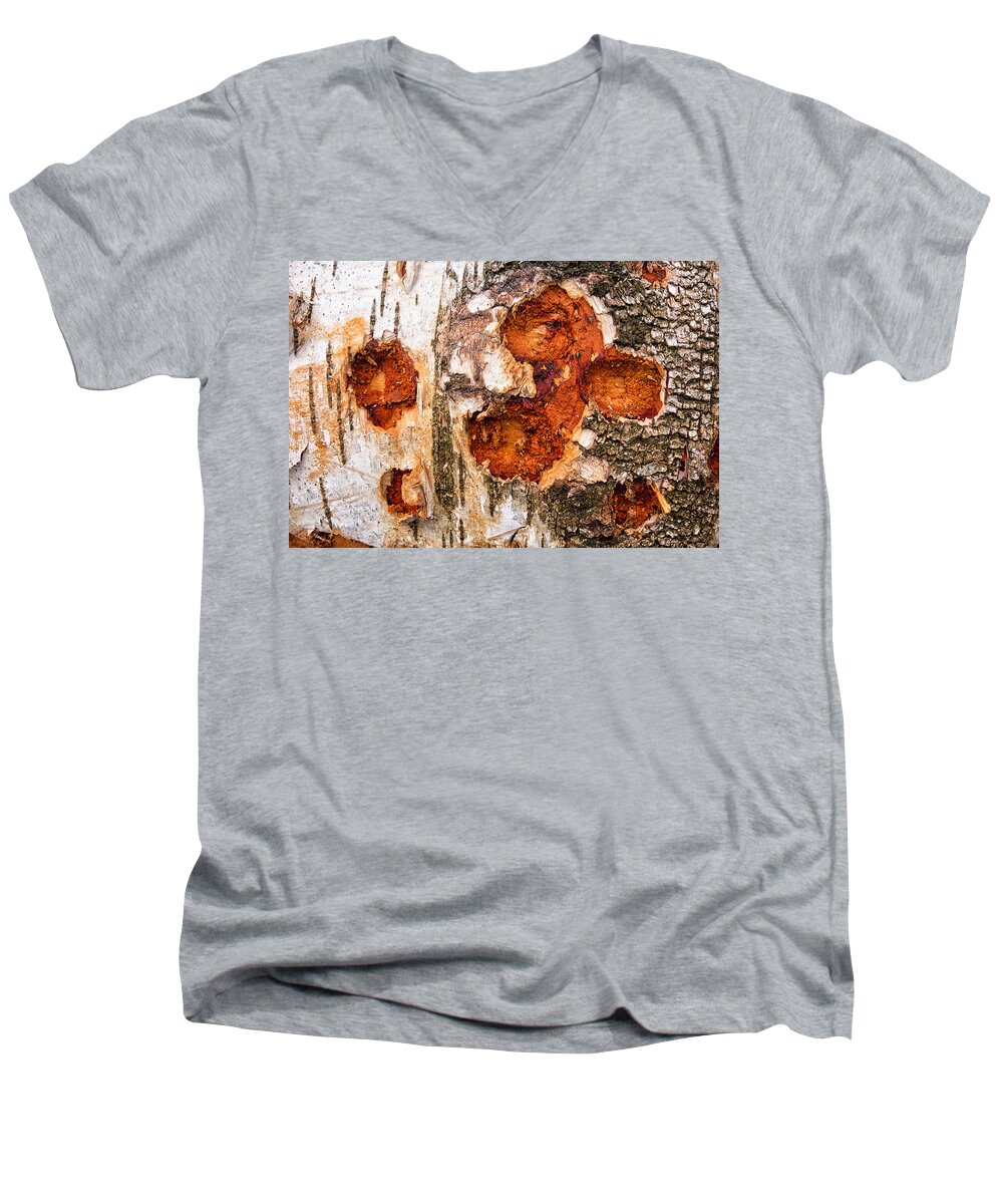 Wood Men's V-Neck T-Shirt featuring the photograph Tree trunk closeup - wooden structure by Matthias Hauser