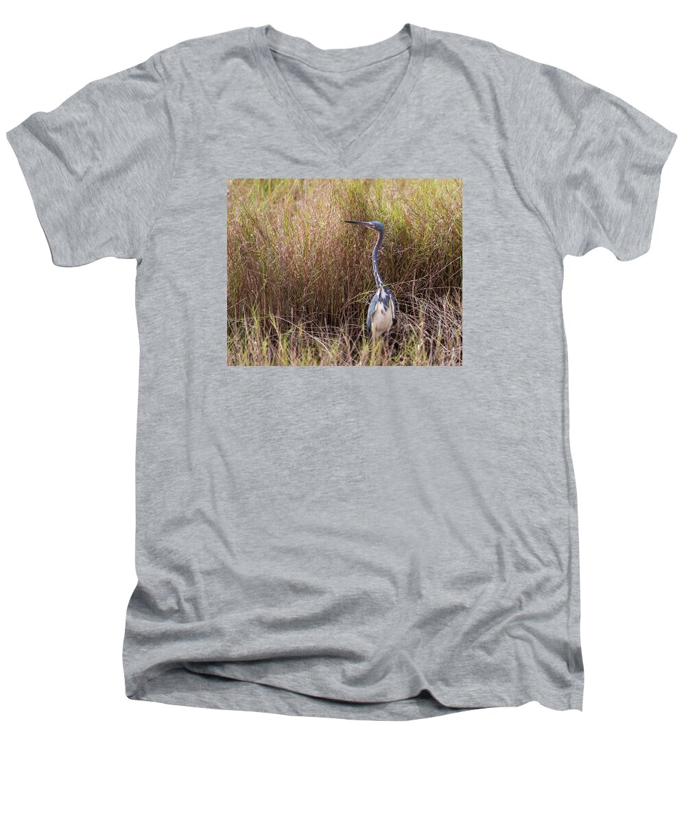 Tricolored Heron Men's V-Neck T-Shirt featuring the photograph Tricolored Heron Peeping Over the Rushes by John M Bailey