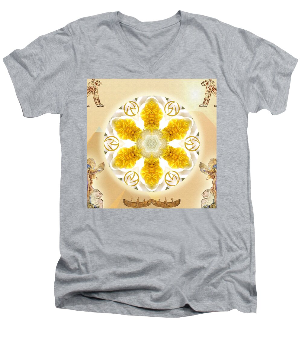 Soul Mandala Men's V-Neck T-Shirt featuring the mixed media Truth by Alicia Kent