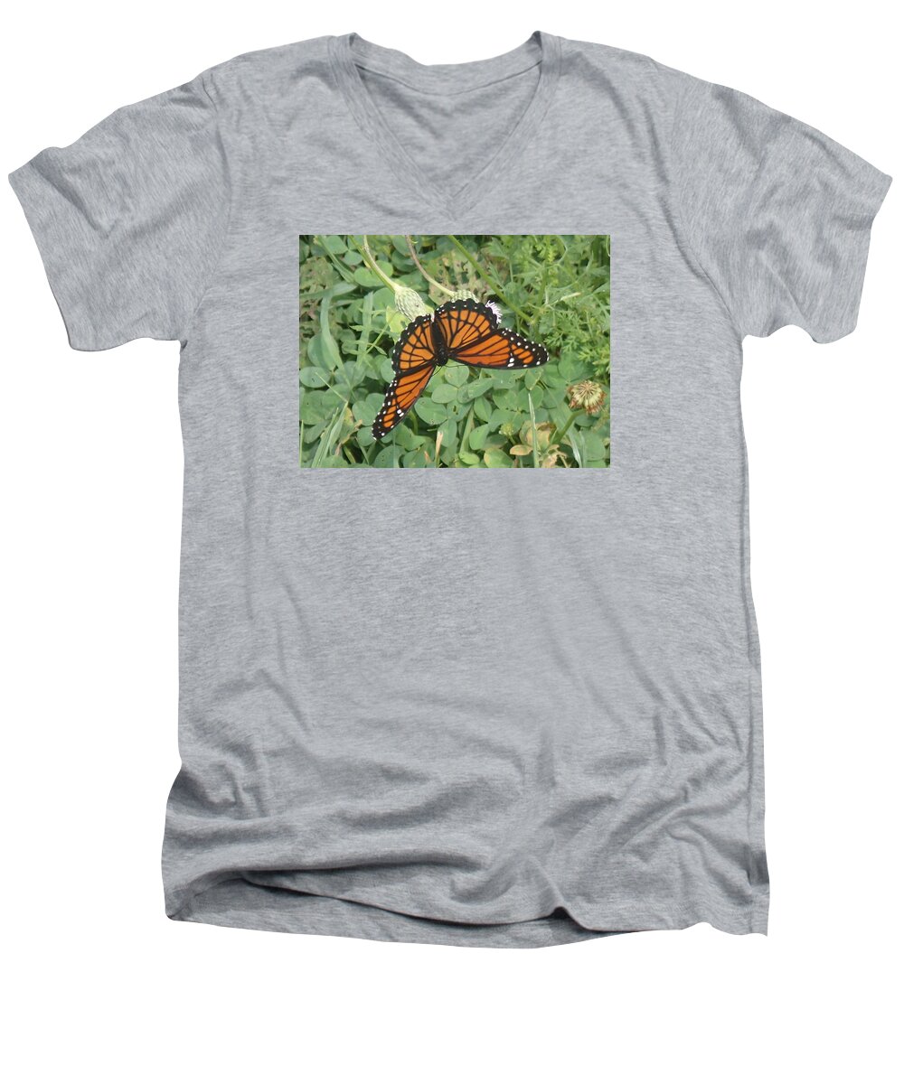 Viceroy Men's V-Neck T-Shirt featuring the photograph Viceroy by Robert Nickologianis