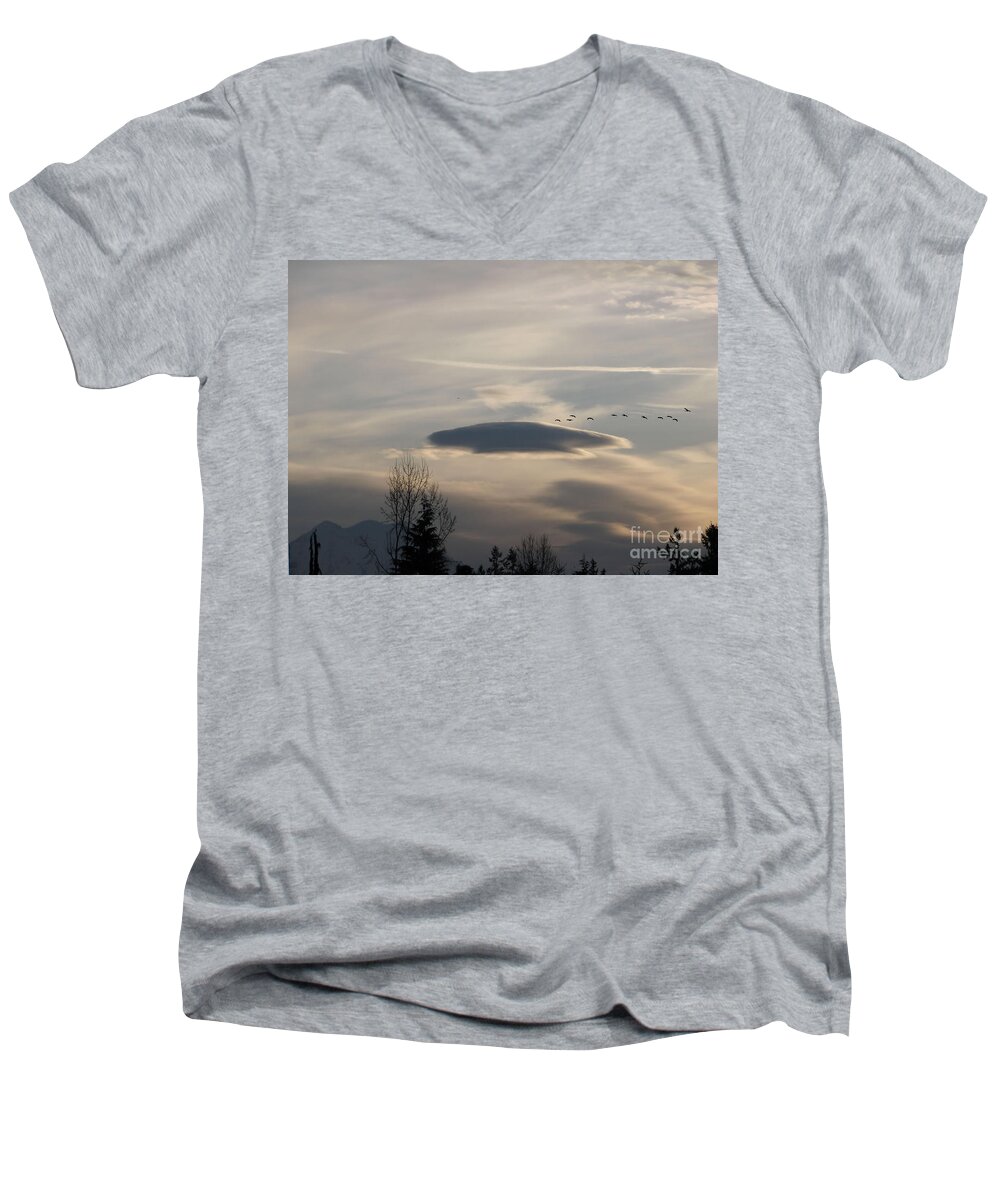 Landscape Men's V-Neck T-Shirt featuring the photograph Visitors by Rory Siegel