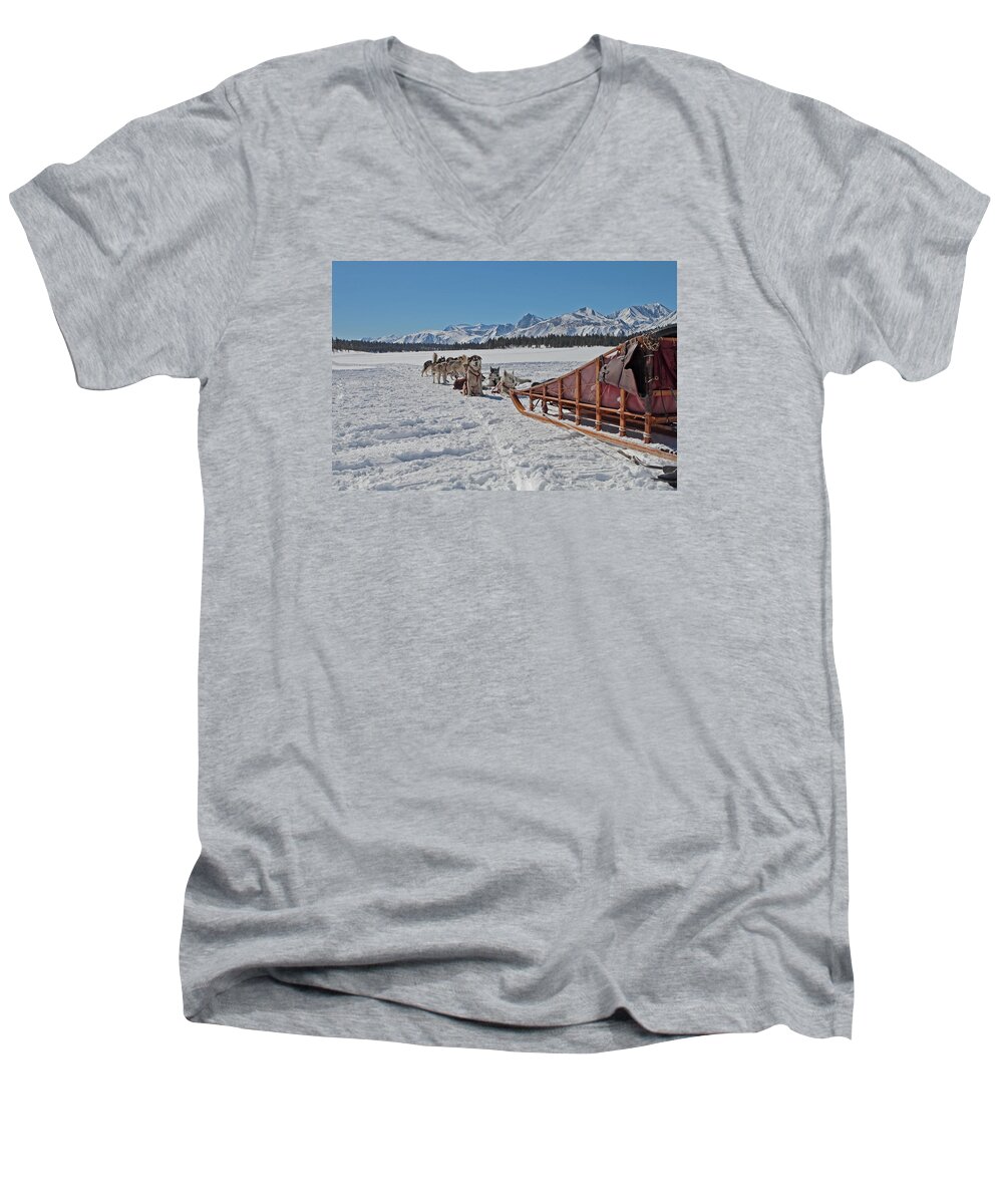Husky Men's V-Neck T-Shirt featuring the photograph Waiting Sled Dogs by Duncan Selby