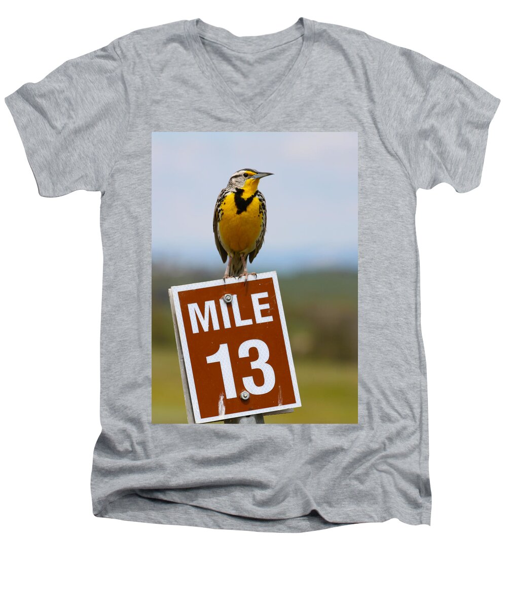 Wild Men's V-Neck T-Shirt featuring the photograph Western Meadowlark on the Mile 13 Sign by Karon Melillo DeVega