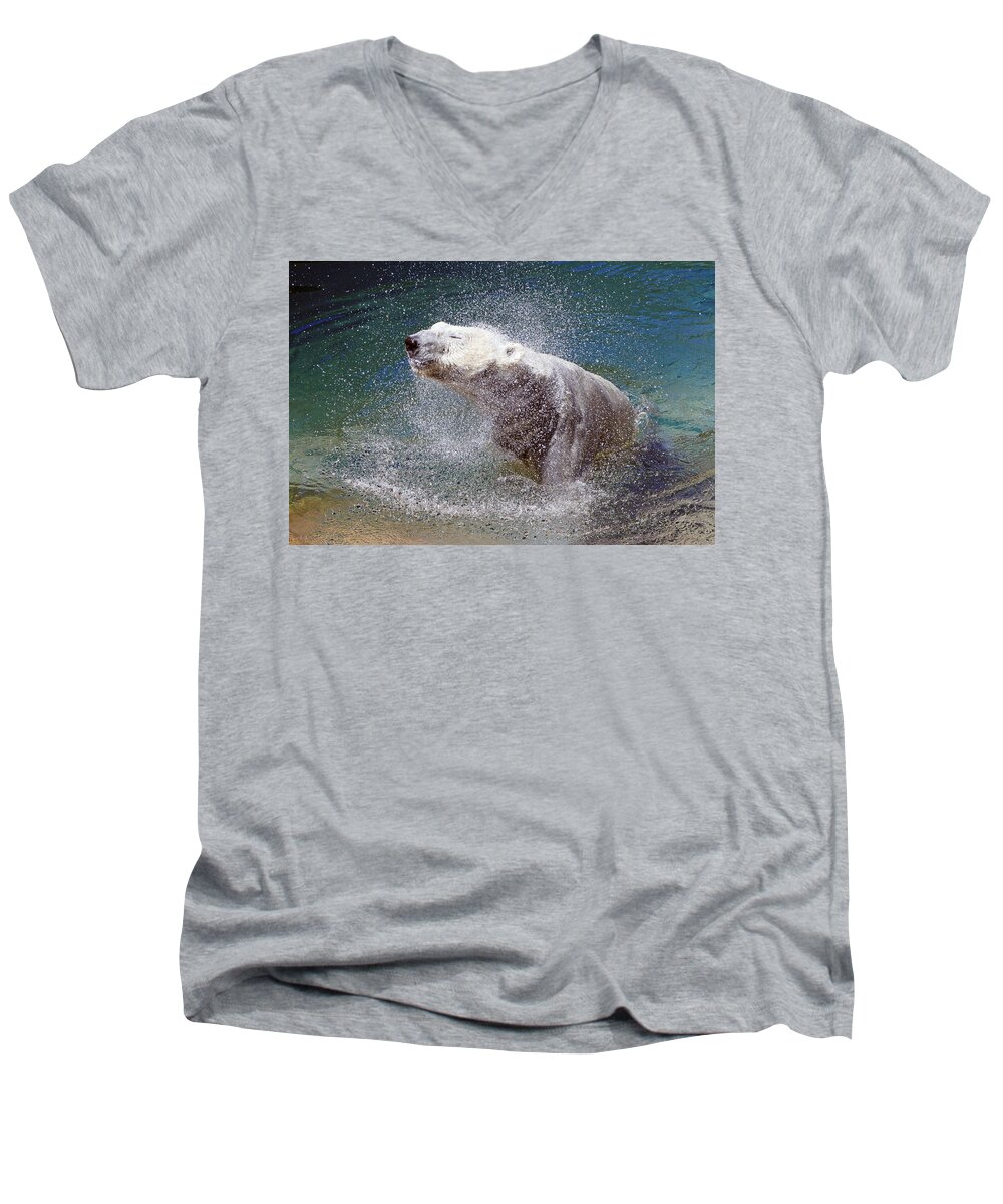 Polar Bear Men's V-Neck T-Shirt featuring the photograph Wet Polar Bear by Shoal Hollingsworth