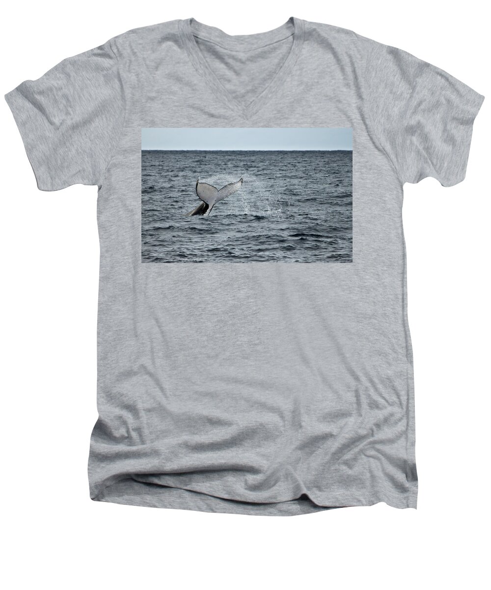 Whale Men's V-Neck T-Shirt featuring the photograph Whale of a time by Miroslava Jurcik