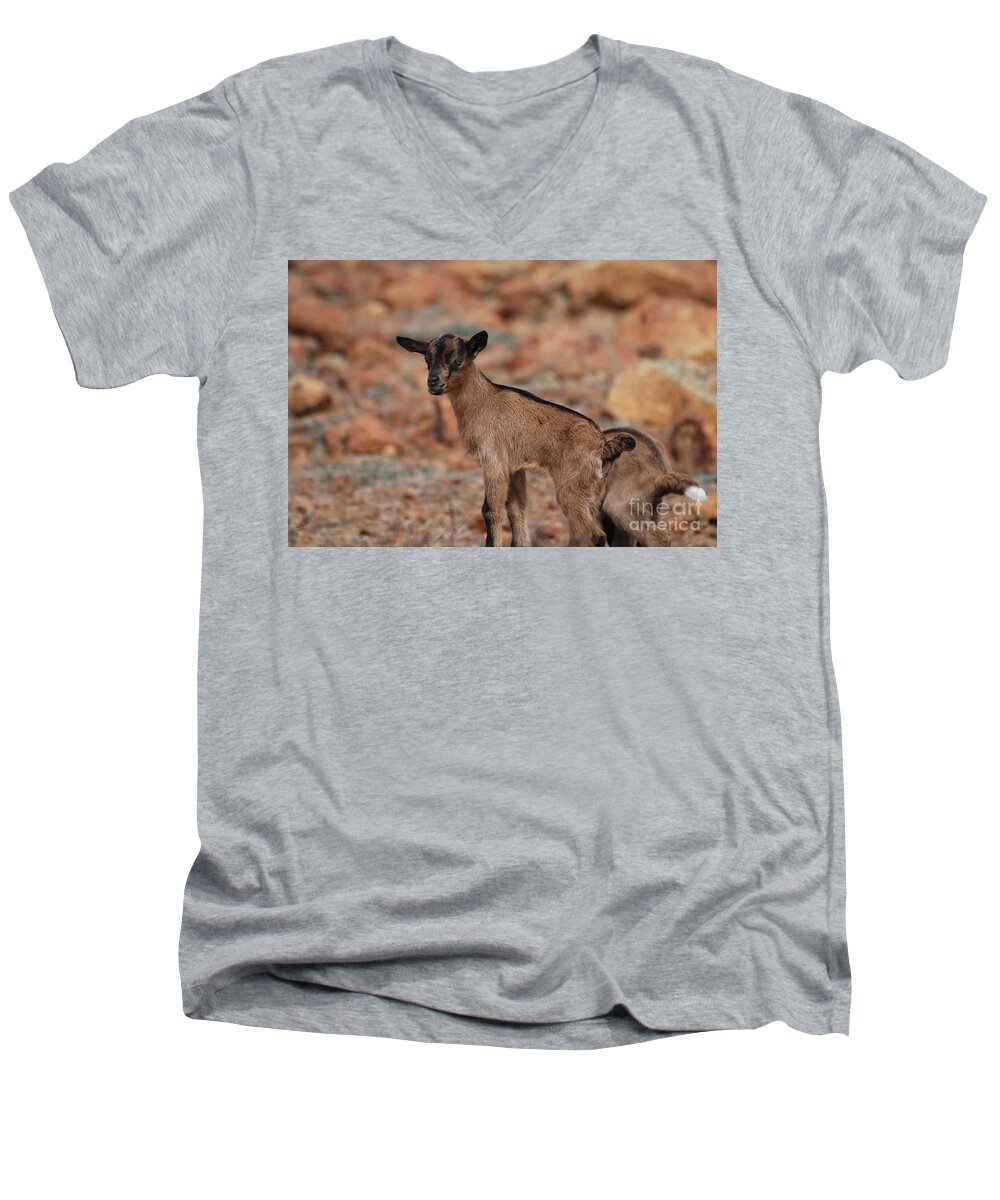 Goat Men's V-Neck T-Shirt featuring the photograph Wild Baby Goat by DejaVu Designs