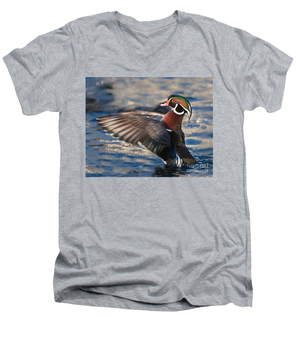 Wood Men's V-Neck T-Shirt featuring the photograph Wood Duck by Ronald Lutz