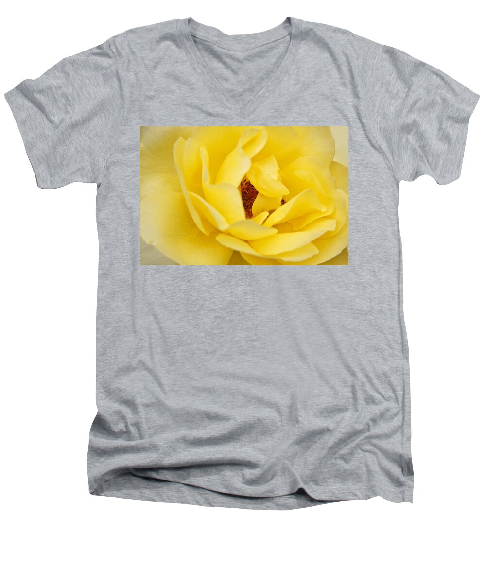 Rose Men's V-Neck T-Shirt featuring the photograph Yellow English Rose by Sue Leonard