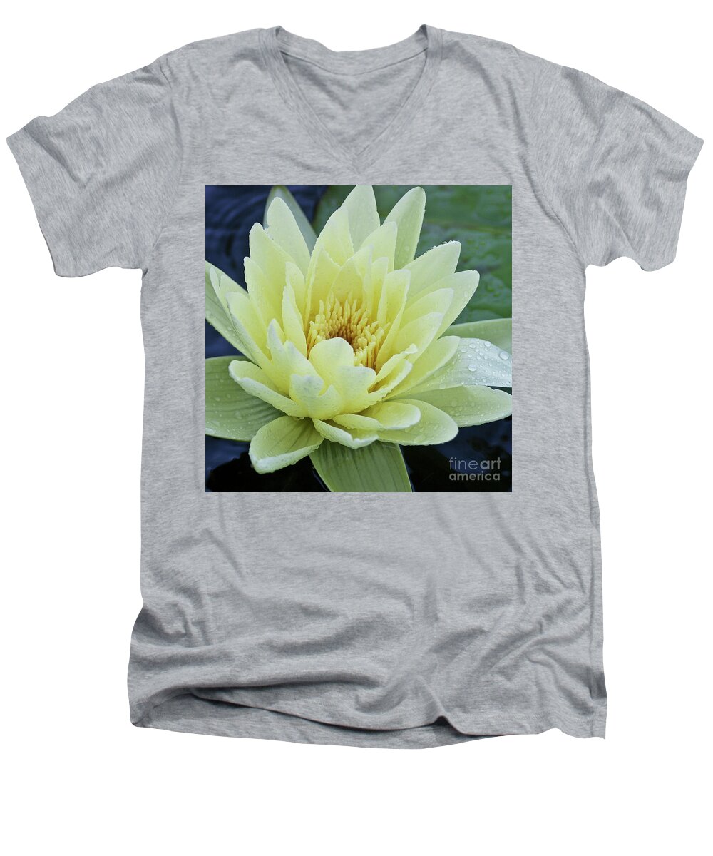 Water Llilies Men's V-Neck T-Shirt featuring the photograph Yellow Water Lily Nymphaea by Heiko Koehrer-Wagner