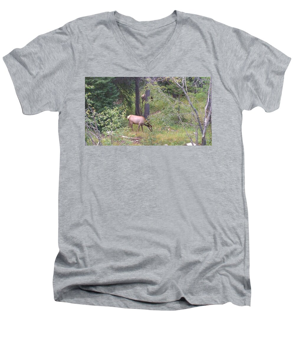 Lanscape Men's V-Neck T-Shirt featuring the photograph Young Elk Grazing by Fortunate Findings Shirley Dickerson