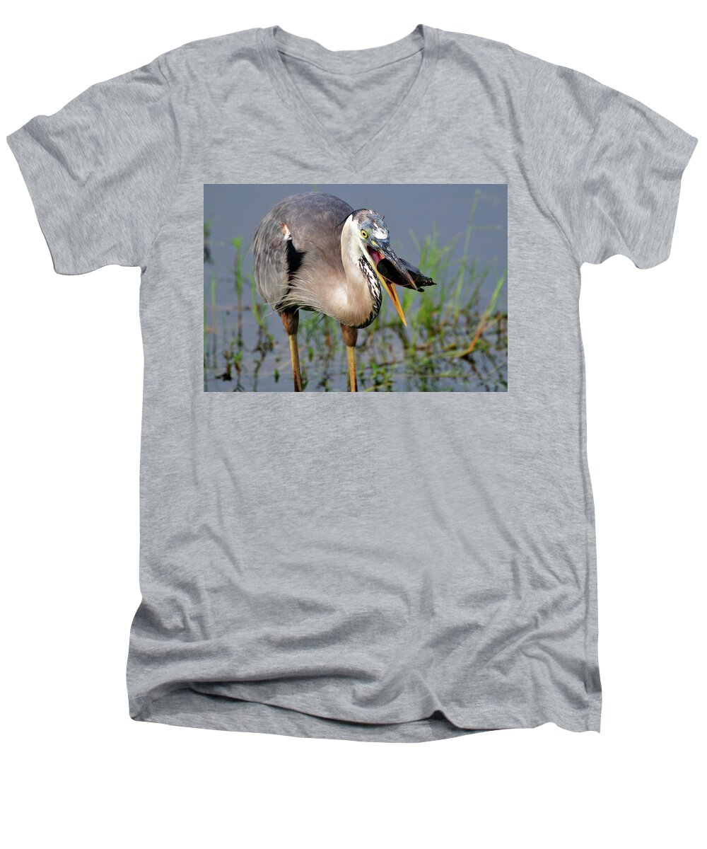 Great Blue Heron Men's V-Neck T-Shirt featuring the photograph Toss and Catch #1 by Bill Dodsworth