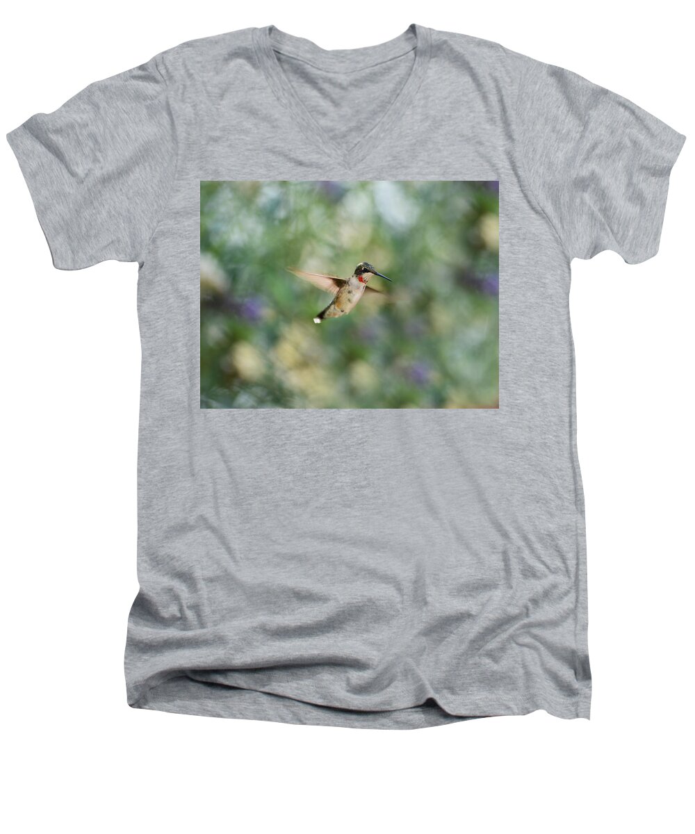 Hummingbird Men's V-Neck T-Shirt featuring the photograph A Little Flash of Red by Lori Tambakis
