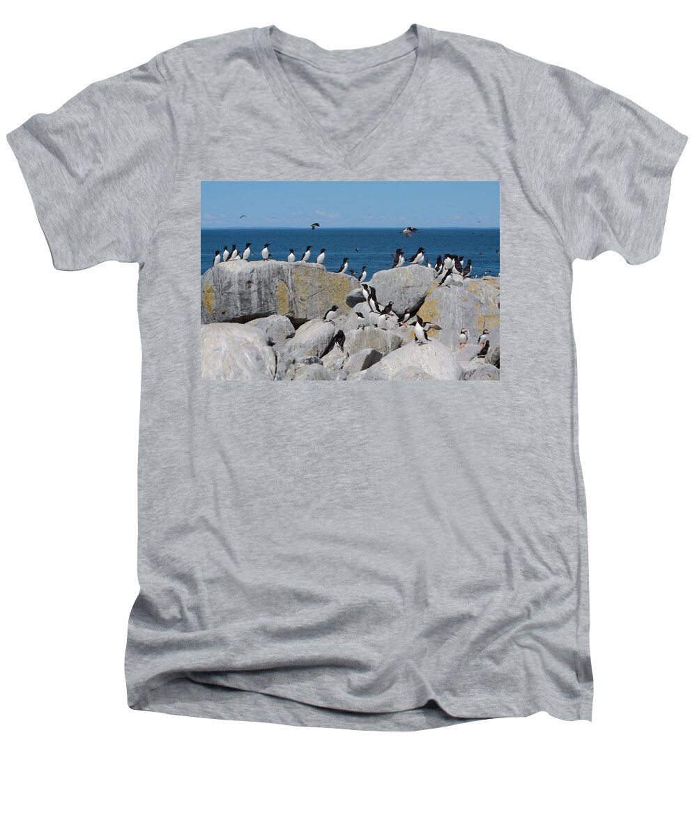 Puffin Men's V-Neck T-Shirt featuring the photograph Auk Island by Bruce J Robinson
