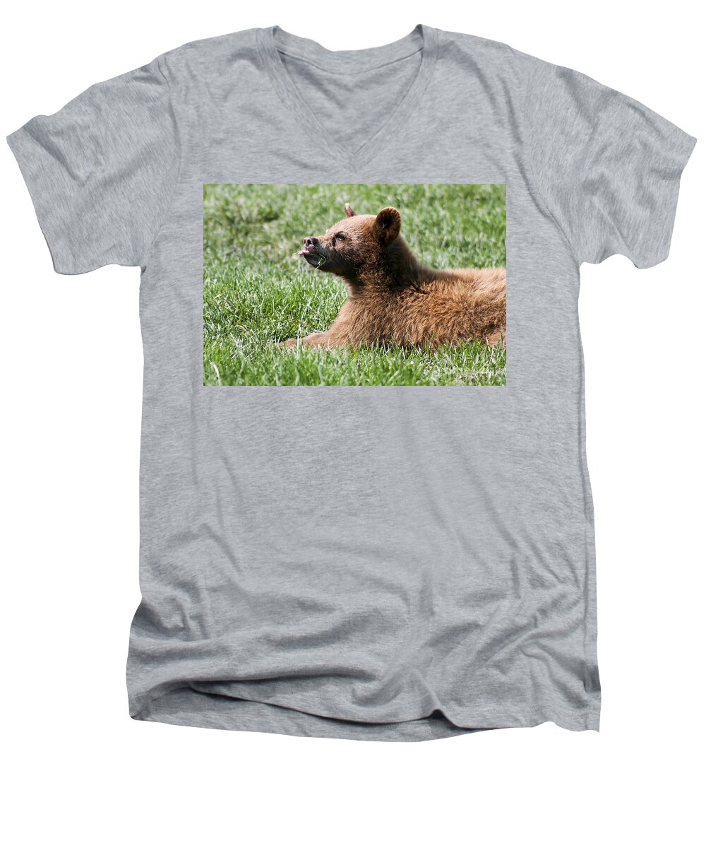 Animal. Wildlife Men's V-Neck T-Shirt featuring the photograph Black Bear Cub I by Teresa Zieba