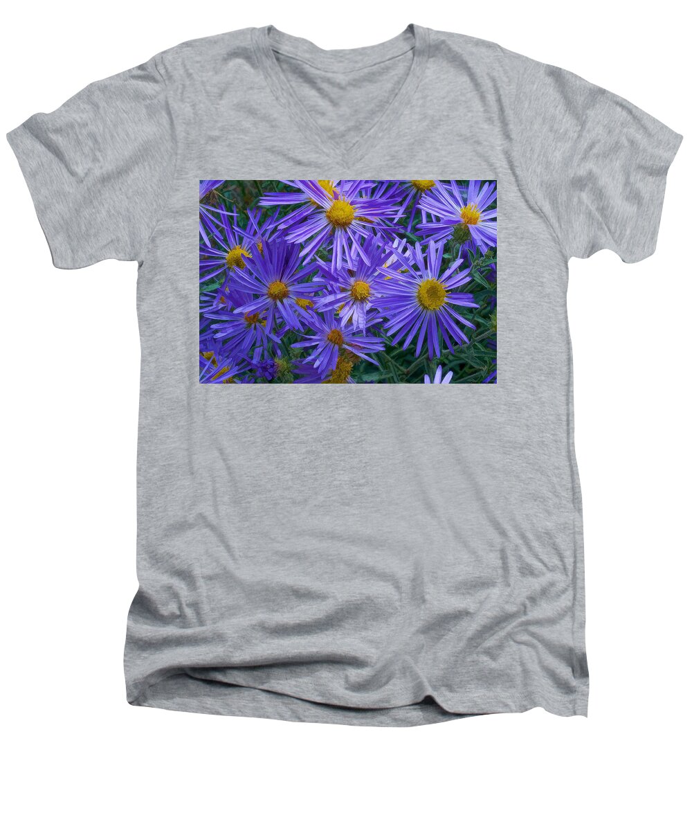  Blue Men's V-Neck T-Shirt featuring the digital art Blue Asters by Charles Muhle