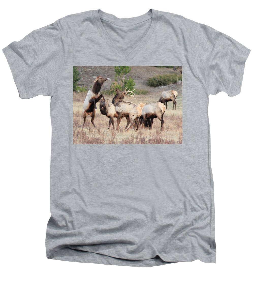 Elk Men's V-Neck T-Shirt featuring the photograph Boxing Match by Shane Bechler