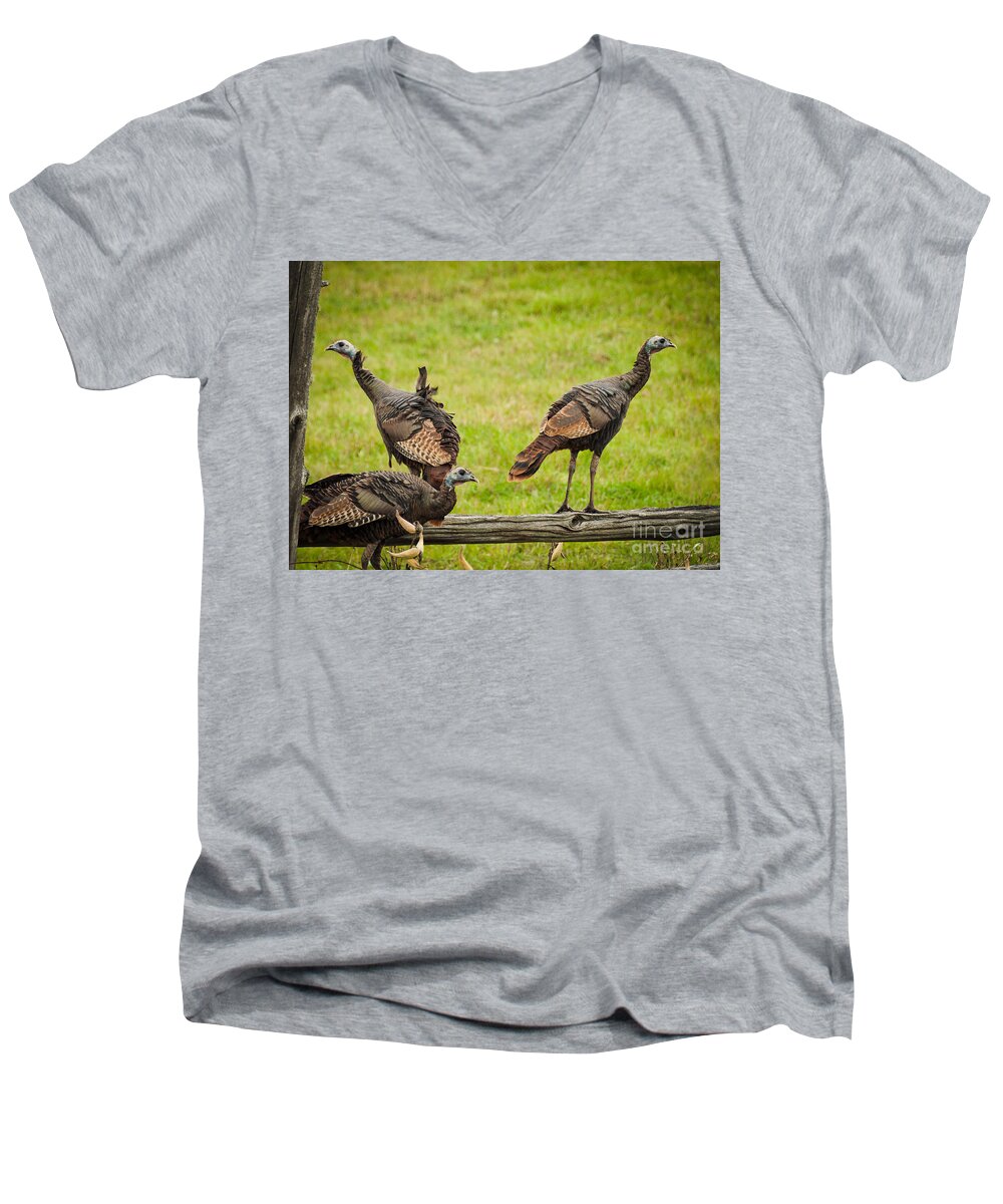 Turkeys Men's V-Neck T-Shirt featuring the photograph Bunch of Turkeys by Cheryl Baxter