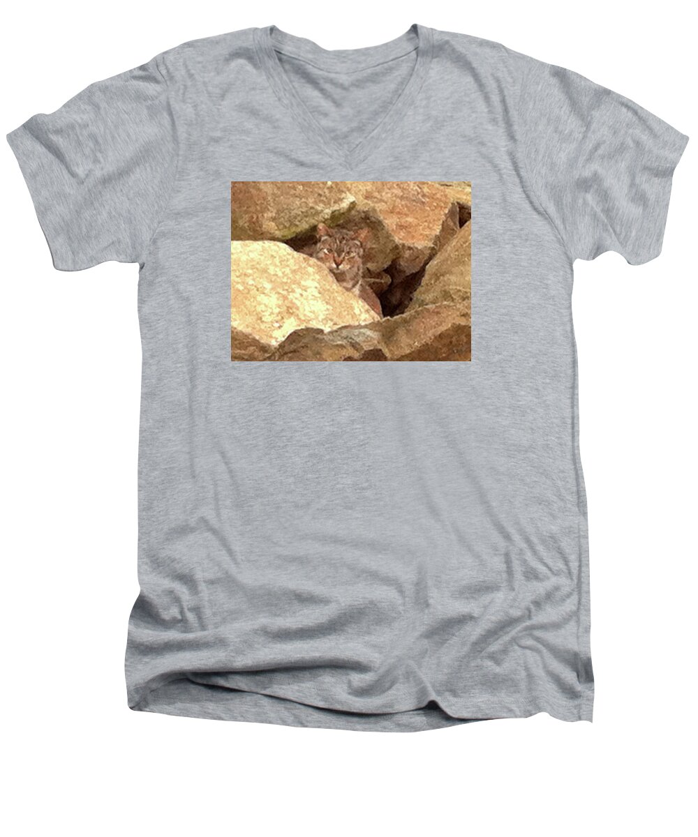 Cat Men's V-Neck T-Shirt featuring the photograph Cat On The Rocks by Alison Stein