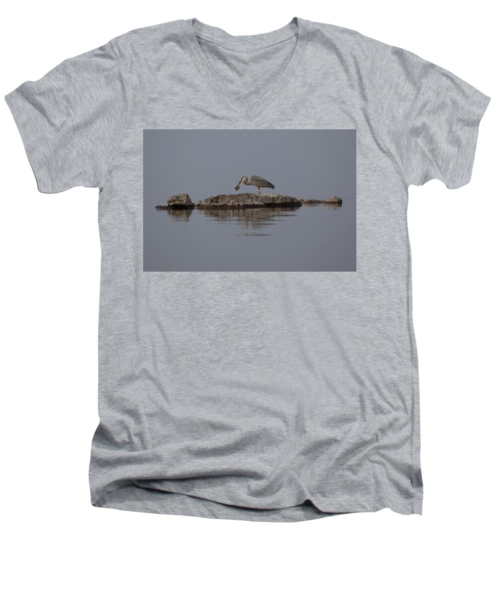 Bird Men's V-Neck T-Shirt featuring the photograph Caught One by Eunice Gibb