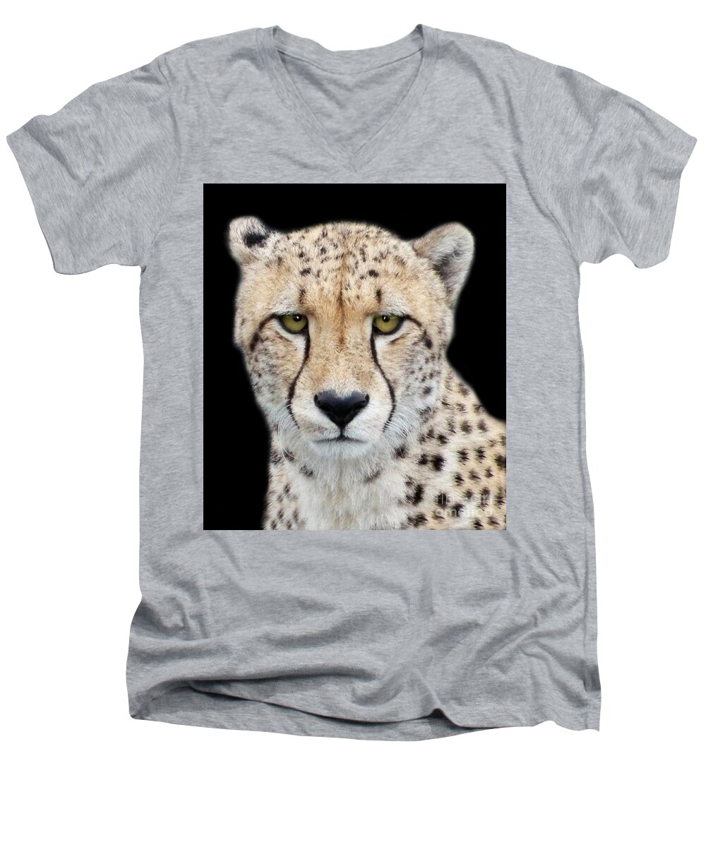 Cheetah Men's V-Neck T-Shirt featuring the photograph Cheetah by Lynn Bolt
