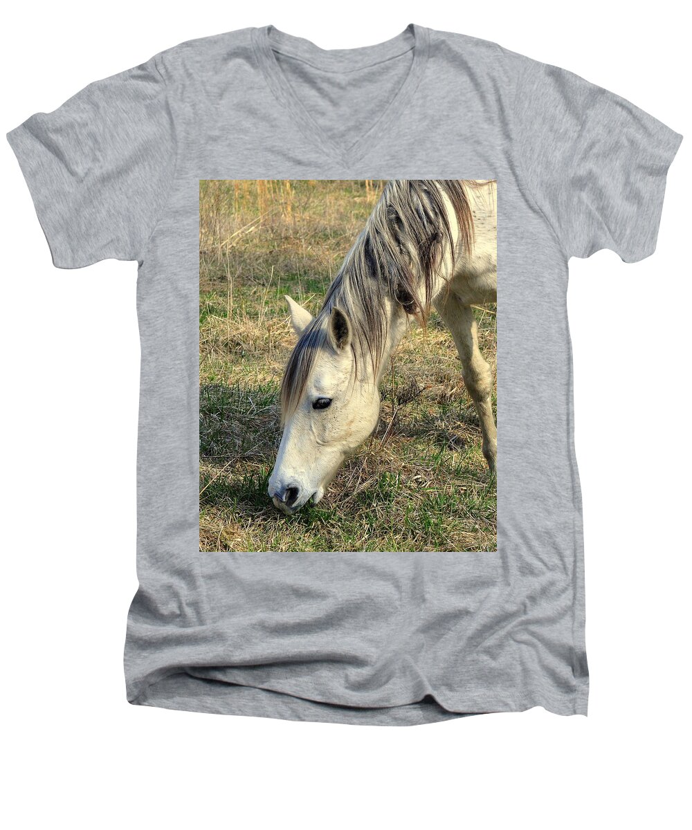 Horses Men's V-Neck T-Shirt featuring the photograph Dinner Time by Marty Koch
