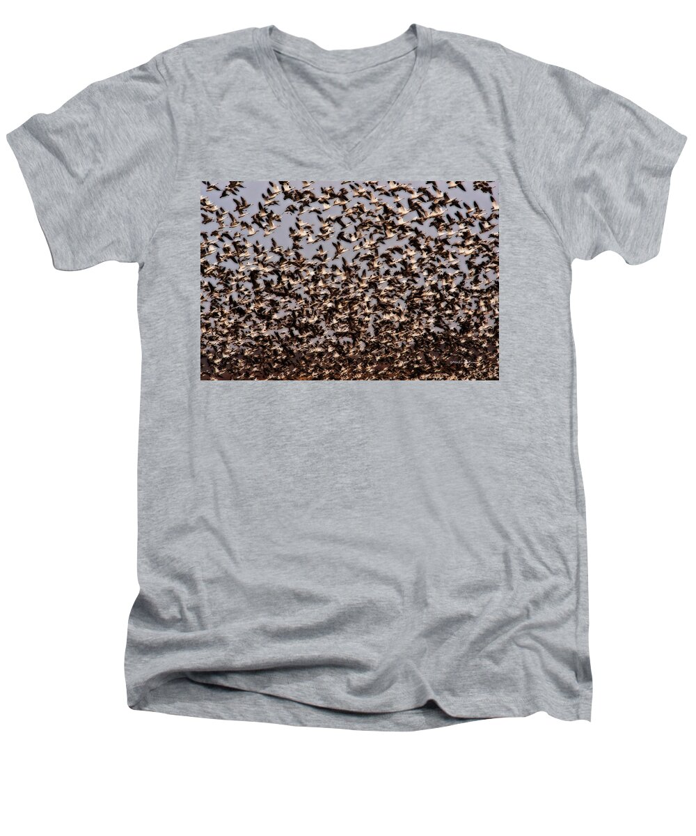 Squaw Creek National Wildlife Refuge Men's V-Neck T-Shirt featuring the photograph Duck Wall by Ed Peterson