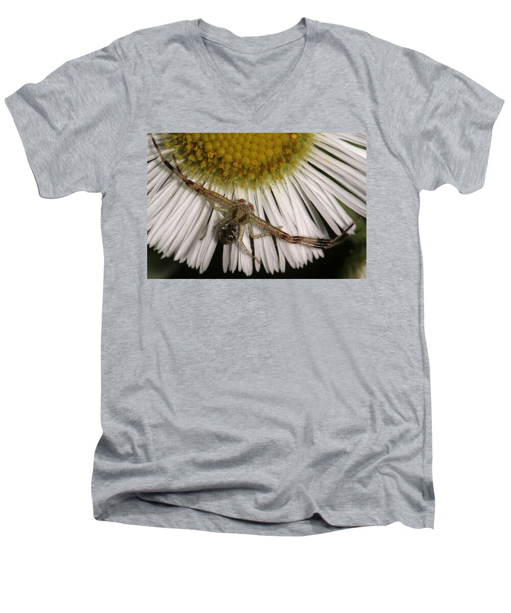 Nature Men's V-Neck T-Shirt featuring the photograph Flower Spider On Fleabane by Daniel Reed