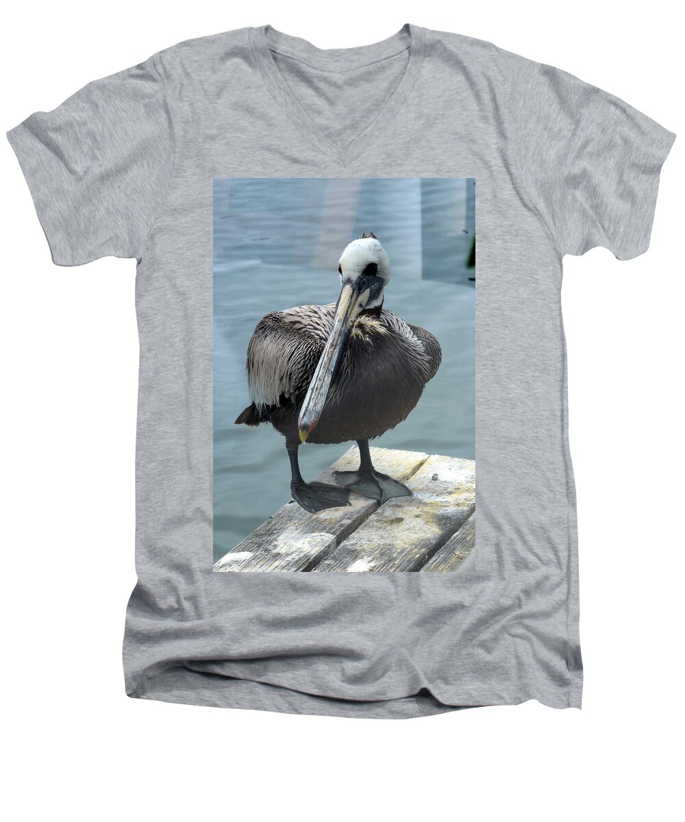 Pelican Men's V-Neck T-Shirt featuring the photograph Friendly Pelican by Carla Parris