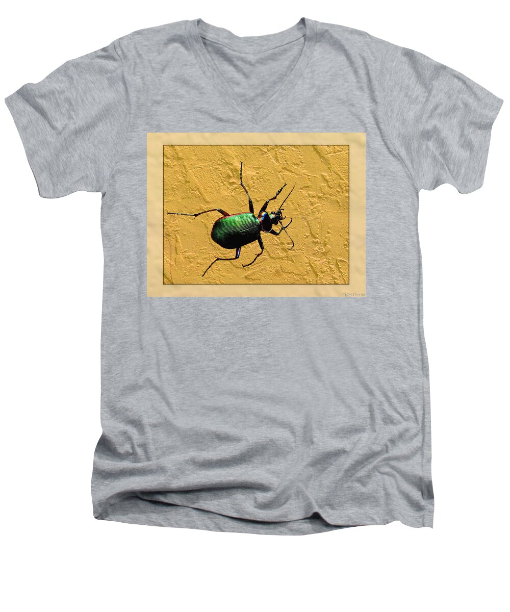 Nature Men's V-Neck T-Shirt featuring the photograph Jeweltone Beetle by Debbie Portwood