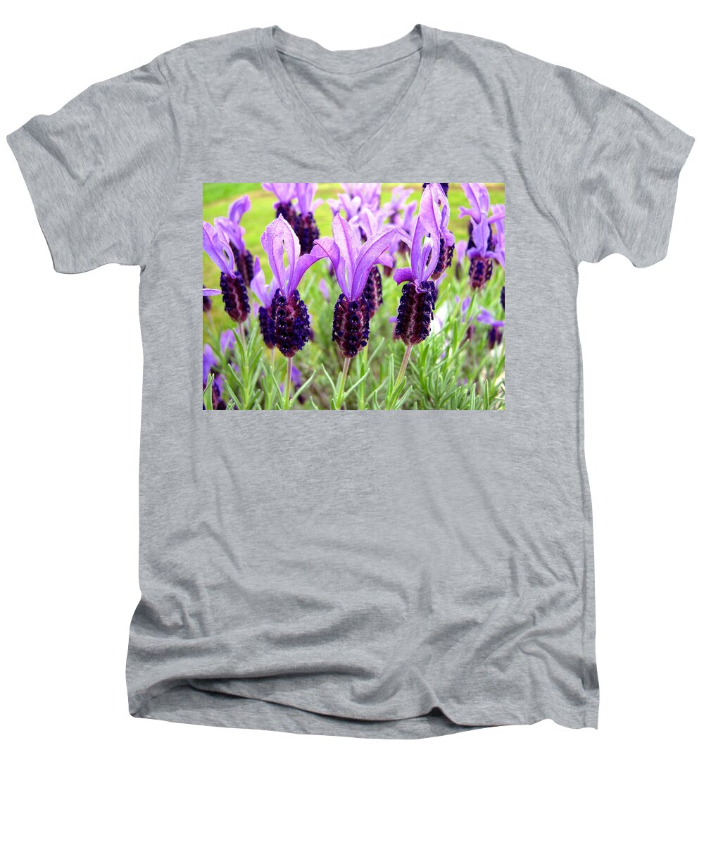 Beautiful Men's V-Neck T-Shirt featuring the photograph Lavenders by Les Cunliffe