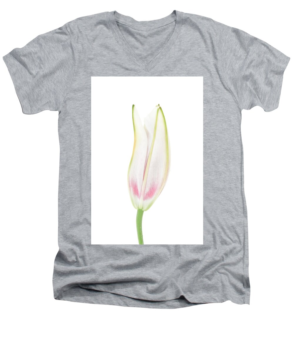 Snow Men's V-Neck T-Shirt featuring the photograph Lily in the Snow by Tom and Pat Cory