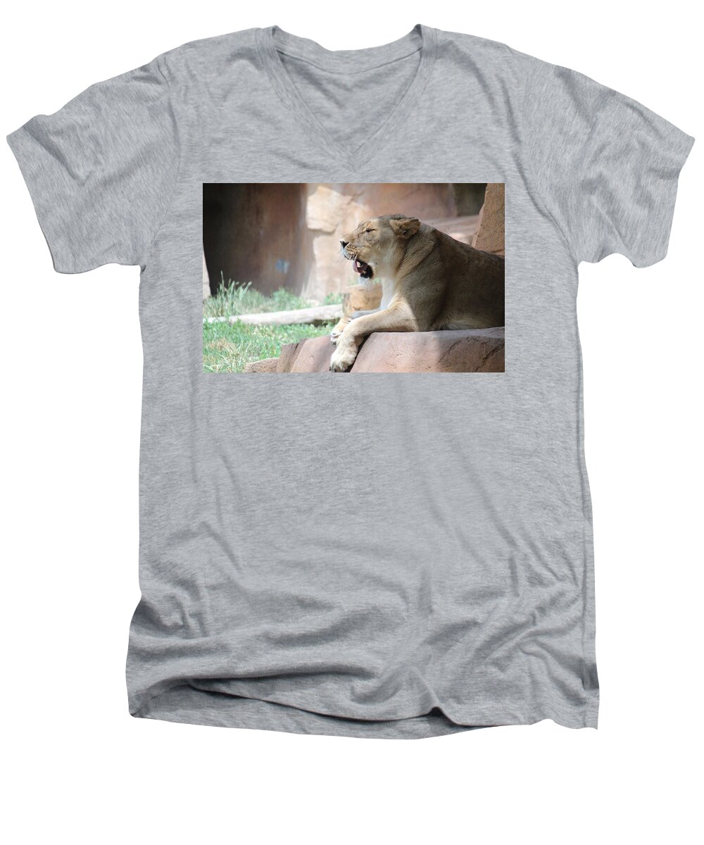 Lion Men's V-Neck T-Shirt featuring the photograph Lion at Brookfield Zoo in Chicago IL by Peter Ciro