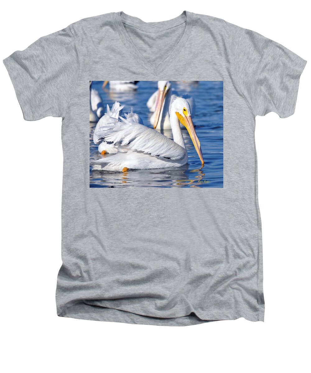 White Pelicans Men's V-Neck T-Shirt featuring the photograph Majestic by Maria Nesbit