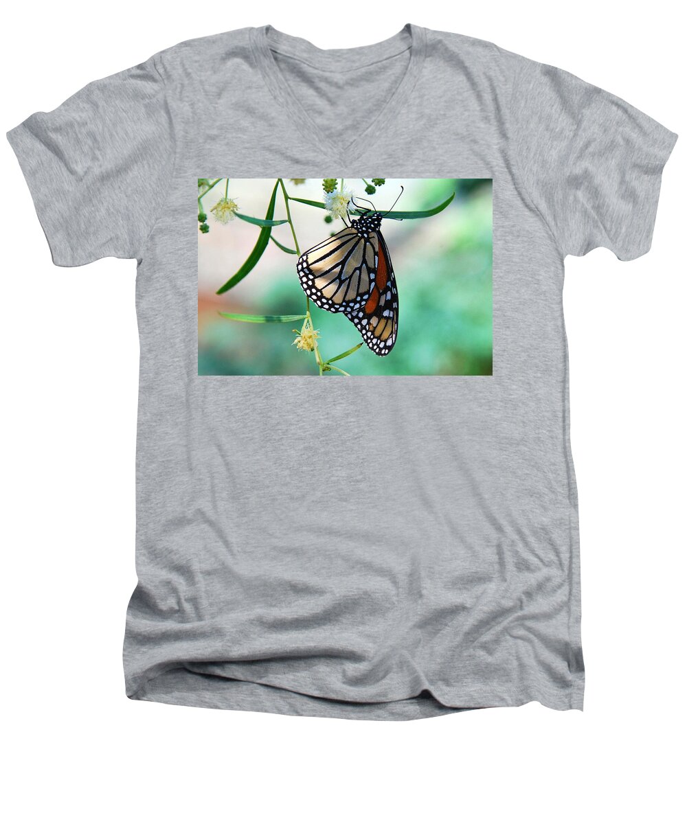 Monarch Men's V-Neck T-Shirt featuring the photograph Monarch by Tam Ryan