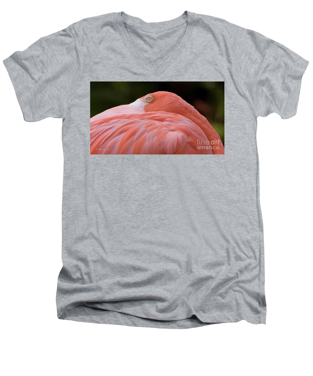 Birds Men's V-Neck T-Shirt featuring the photograph Peaking by Sue Karski
